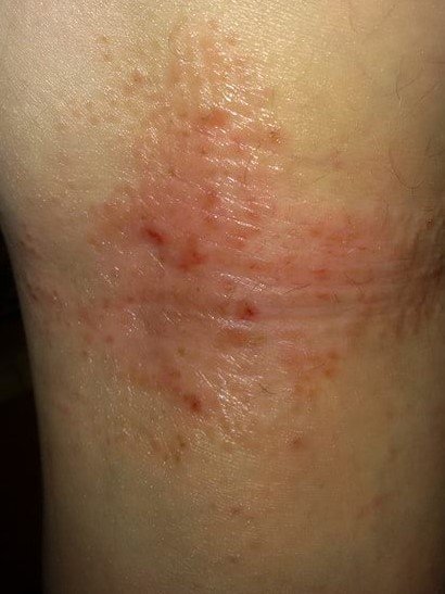 18834348_1535266999831138_969456162_n